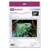 Riolis Siuvinėjimo kryželiu rinkinys "Iguana" 30x21 SR2192