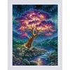 Riolis Kryželiu siuvinėjimo rinkinys „Paslaptinga visata“ 30x40 SR2240