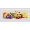 Riolis Siuvinėjimo rinkinys 40x15 cm SR2357