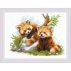 Riolis Kryželiu siuvinėjimo rinkinys Raudonosios pandos jaunikliai 40x30 SR2257