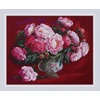 Riolis Siuvinėjimo rinkinys 50x40 cm SR2345