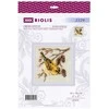 Riolis Siuvinėjimo rinkinys "Čiurkšlys" 10x10 cm SR2329