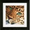Lanarte Verachtert Nv Siuvinėjimo kryželiu rinkinys Leopard Aida PN/0155213