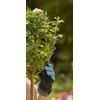 Gardena Darbo su spygliuočiais pirštinės "M"