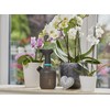 Purkštuvas Gardena 1 l 9704627-01