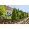 Gardena Pradinis rinkinys augalų eilėms L