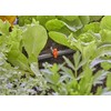 Gardena Reguliavimo vožtuvas