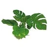 Croci AMTRA ANUBIAS plastikinis augalas 20cm