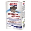 Amtra Pro Nature Catappa lapai 30vnt
