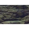 AQUA NOVA fonas akmenys/augalai 60x30cm