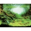 AQUA NOVA fonas augalai/vandenynas 150x60cm