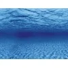 AQUA NOVA fonas šaknys/vanduo 100x50cm