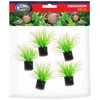 AQUA NOVA plastikinis augalas 3cm 5vnt