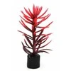 AQUA NOVA plastikinis augalas 8cm 5vnt
