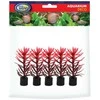 AQUA NOVA plastikinis augalas 8cm 5vnt