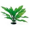 AMTRA ECHINODORUS augalas plant classic 17cm MD 1vnt