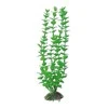AMTRA ROTALA augalas mažas 13cm 1vnt