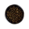 Barking Heads Doggylicious begrūdis su antiena 12kg
