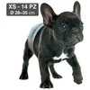 Croci Spa Dog Nappy sauskelnės šunim XS 1-2kg 14vnt.