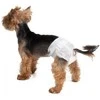 Croci Spa Dog Nappy sauskelnės šunim XS 1-2kg 14vnt.