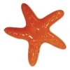 CROCI Fresh Starfish vėsinanti žvaigždė 17cm (plūduriuoja)