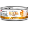 DISUGUAL Intestinal kons katėms su kalakutiena 85g