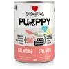 DISUGUAL Puppy konservas šuniukams su lašiša 400g (6)