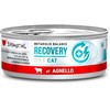 DISUGUAL Recovery kons katėms su ėriena 85g
