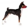Grande Finale Antsnukis VET dydis S (raudonas) (Veterinarinis)