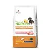 Natural Trainer ADULT DOG SENSITIVE be gliuteno MINI PORK (kiauliena) 2kg