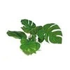 Croci AMTRA ANUBIAS plastikinis augalas 30cm
