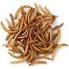 PRODAC Mealworms džiovinti milčiai 250ml