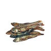 Prodac TartaFood Fish džiovintos žuvys vandens vėžliams 1200ml/200g