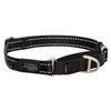 Rogz Control Collar Juodas juostelinis smaugtukas 24-36x1.1cm HCW14A juodas