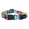 Rogz Fusion Classic spalvotas antkaklis 26-40cm M