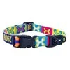 Rogz Fusion Classic spalvotas antkaklis 26-40cm M