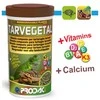 TARVEGETAL lazdelės sausumos ropliams 250ml 60g