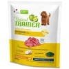 Trainer Natural Adult Mini sausas maistas su jautiena ir ryžiais šunims 800g