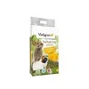 Vadigran Dandelion šienas su kiaulpienėmis 500g