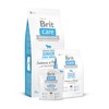 BRIT CARE Dog Junior Large Breed su lašiša ir bulvėmis 12kg