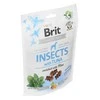 Brit kvapioji medžiaga Brit Priežiūra šuo Insect &amp; Tunas 200g