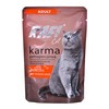 Kačių Maistas - Dolina Noteci Rafi Cat Adult Anties Skonio Be Grūdų 100g