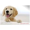Mesko | Hair clipper for pets | MS 2826 | Corded/ Cordless | Juodas/Sidabrinis