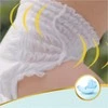 Sauskelnės-kelnaitės Pampers Premium Pants Value Pack, 6 dydis, 31 vnt.
