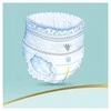 Sauskelnės-kelnaitės Pampers Premium Pants Value Pack, 6 dydis, 31 vnt.