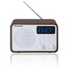Nešiojama Radijo Stotis - Blaupunkt PP7BT Bluetooth USB Žadintuvas Ruda/Balta