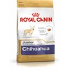 ROYAL CANIN Chihuahua junior 500g, čihuahua veislės jaunų šunų sausas pašaras