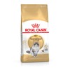 Royal Canin Norwegian Forest Cat 10kg