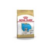 Royal Canin BHN French Bulldog Puppy - sausas šuniukų maistas - 10kg