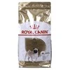 ROYAL CANIN Pug Adult Sausas ėdalas suaugusiems šunims, 1,5kg